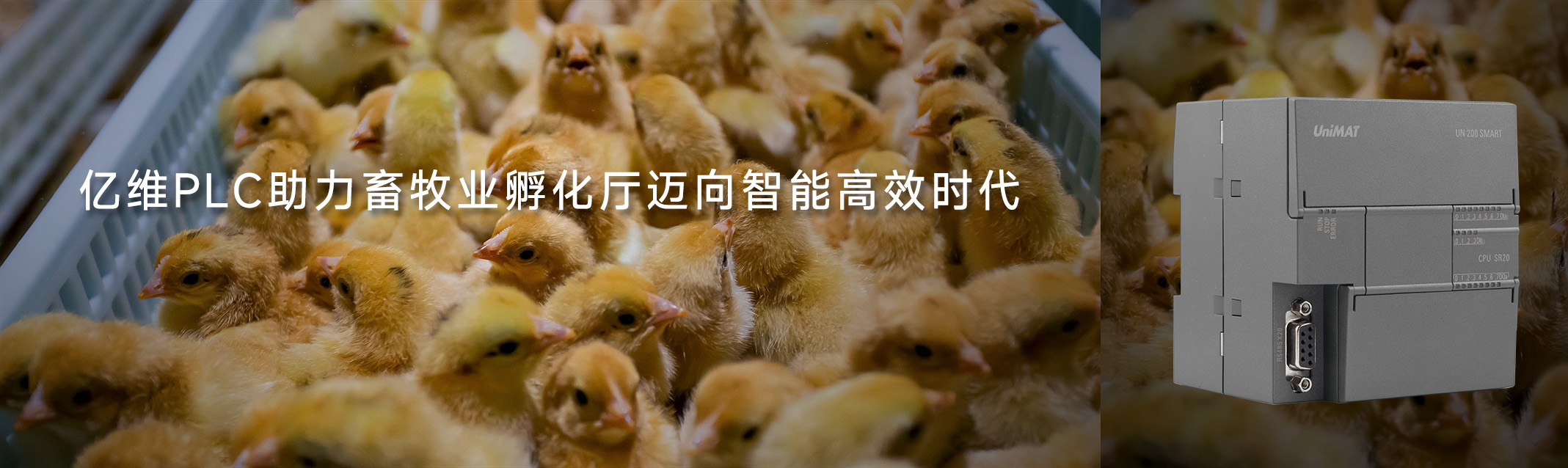 k8凯发天生赢家一触即发人生PLC助力畜牧业孵化厅迈向智能高效时代